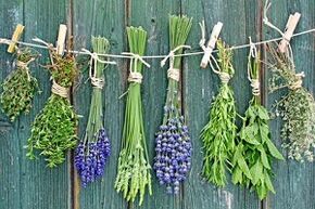 azazkalen onddoak tratatzeko belarrak